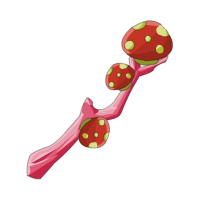 Weapon