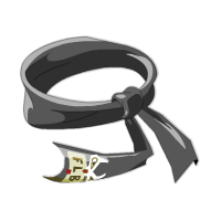 Belt