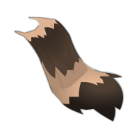 Cape