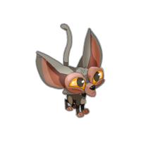 Pet