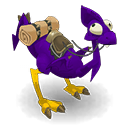 Pet