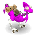 Pet