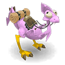 Pet