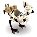 Pet