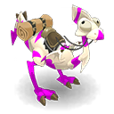 Pet