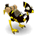 Pet