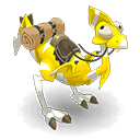 Pet