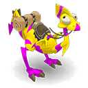 Pet