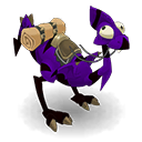 Pet