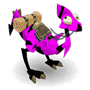 Pet