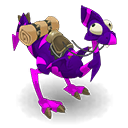 Pet