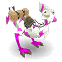 Pet