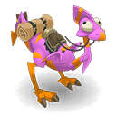 Pet