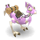 Pet