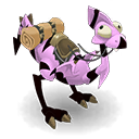 Pet