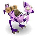 Pet