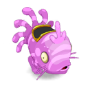 Pet