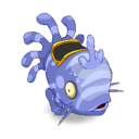Pet