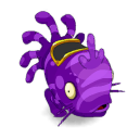 Pet