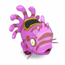 Pet