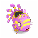 Pet