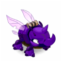 Pet