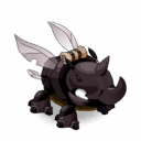 Pet