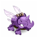 Pet