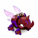 Pet