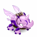 Pet