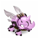 Pet