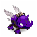 Pet