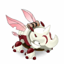 Pet
