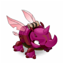 Pet