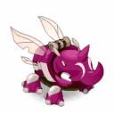 Pet
