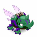 Pet