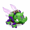 Pet
