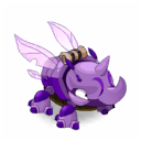 Pet