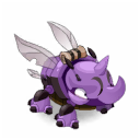Pet