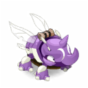 Pet
