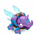 Pet