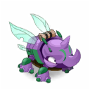 Pet
