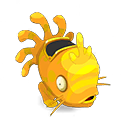 Pet