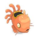 Pet