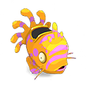 Pet