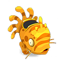 Pet