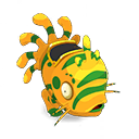 Pet