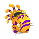Pet