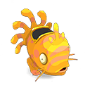 Pet