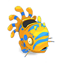 Pet